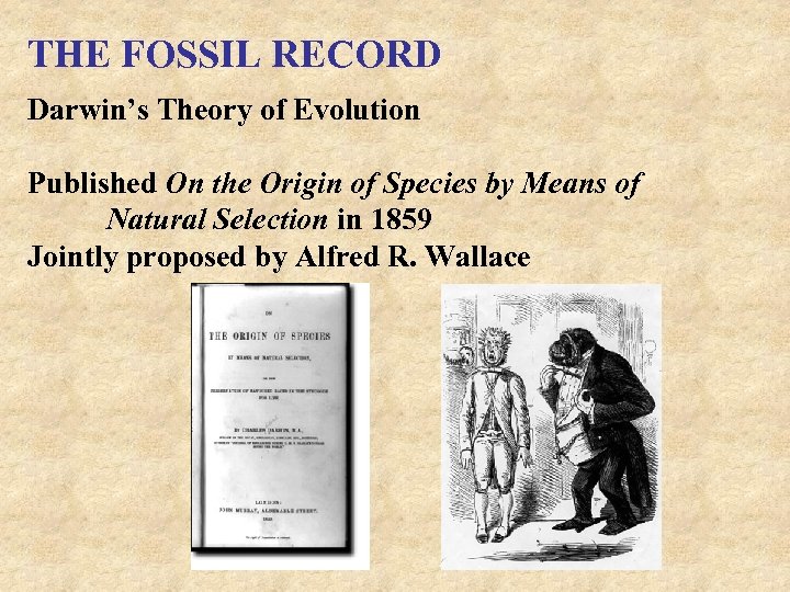 THE FOSSIL RECORD Darwin’s Theory of Evolution Published On the Origin of Species by