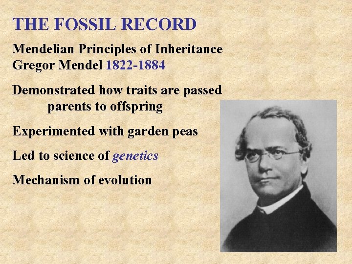 THE FOSSIL RECORD Mendelian Principles of Inheritance Gregor Mendel 1822 -1884 Demonstrated how traits