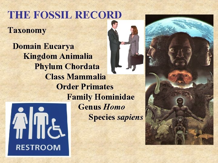 THE FOSSIL RECORD Taxonomy Domain Eucarya Kingdom Animalia Phylum Chordata Class Mammalia Order Primates