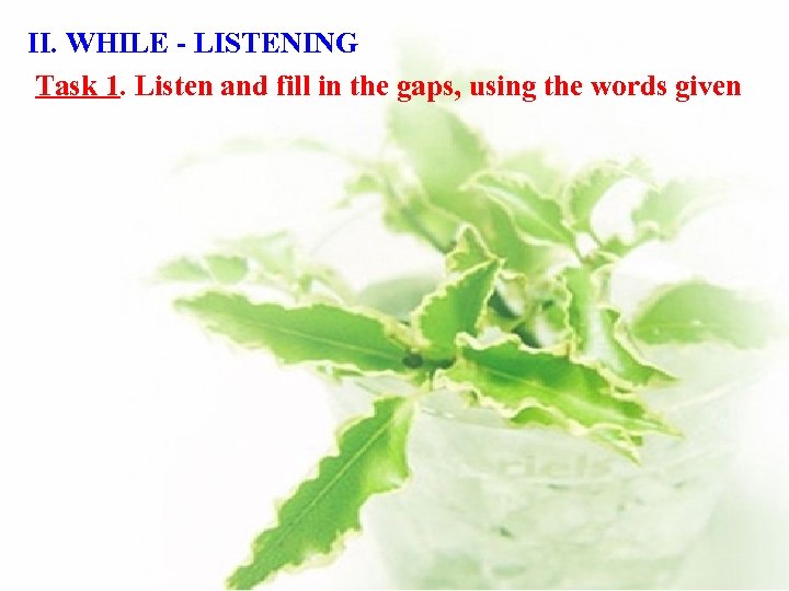 II. WHILE - LISTENING Task 1. Listen and fill in the gaps, using the