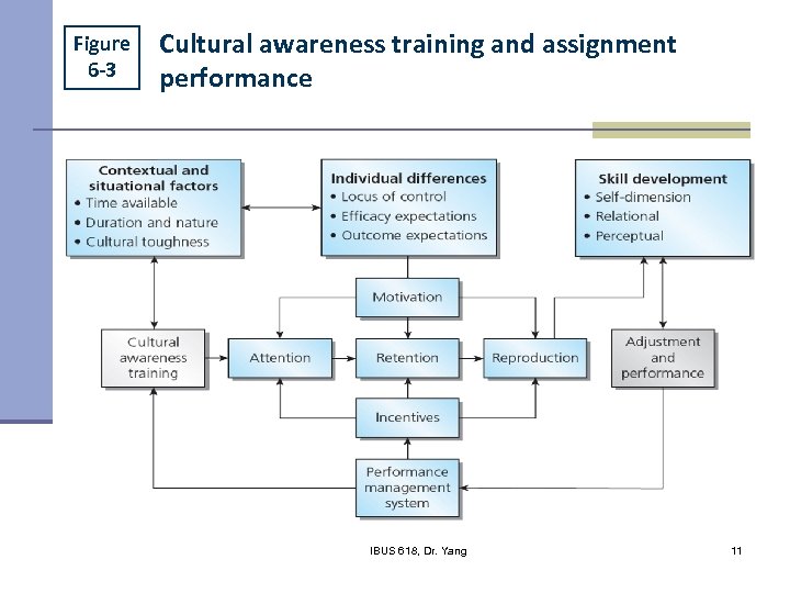 Figure 6 -3 Cultural awareness training and assignment performance IBUS 618, Dr. Yang 11