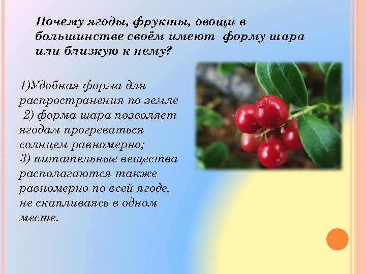 Почему ягоды, фрукты, овощи в большинстве своём имеют форму шара или близкую к нему?