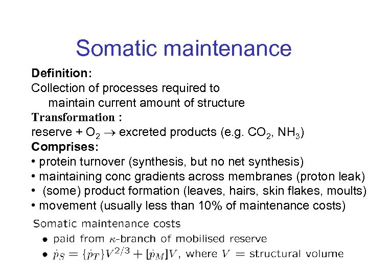 Somatic maintenance Definition: Collection of processes required to maintain current amount of structure Transformation