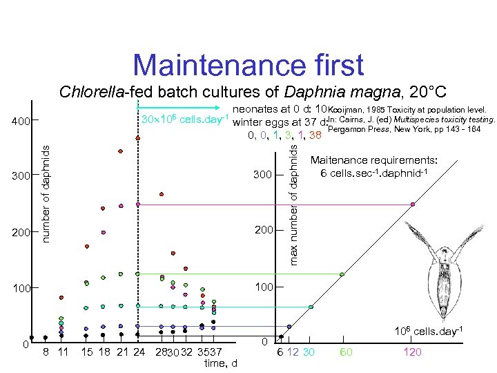 Maintenance first Chlorella-fed batch cultures of Daphnia magna, 20°C 300 200 neonates at 0