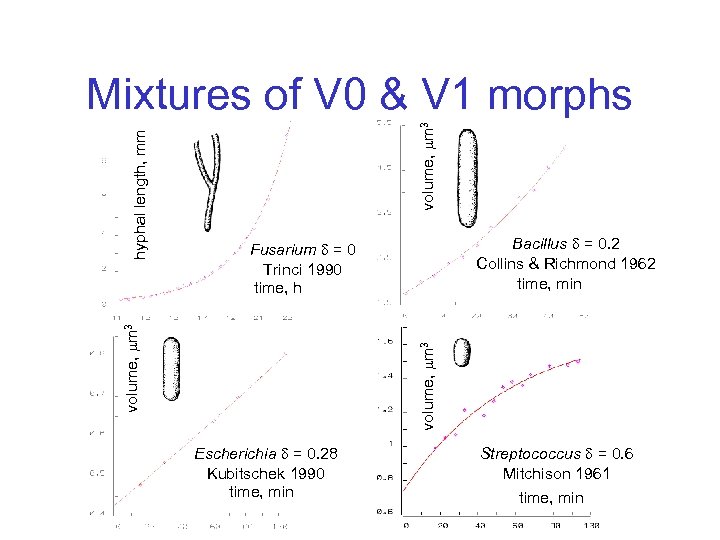 volume, m 3 Bacillus = 0. 2 Collins & Richmond 1962 time, min Fusarium
