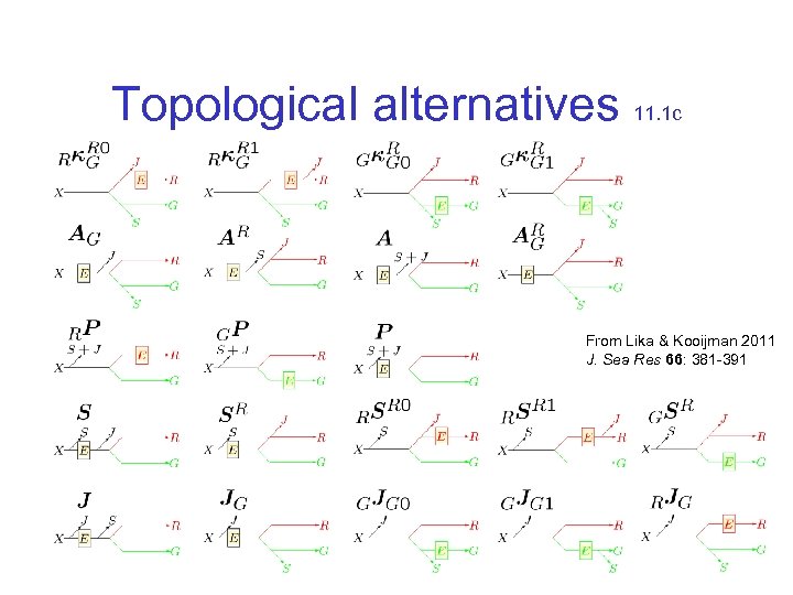 Topological alternatives 11. 1 c From Lika & Kooijman 2011 J. Sea Res 66: