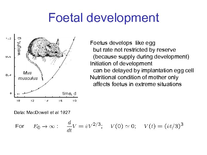 weight, g Foetal development Foetus develops like egg but rate not restricted by reserve