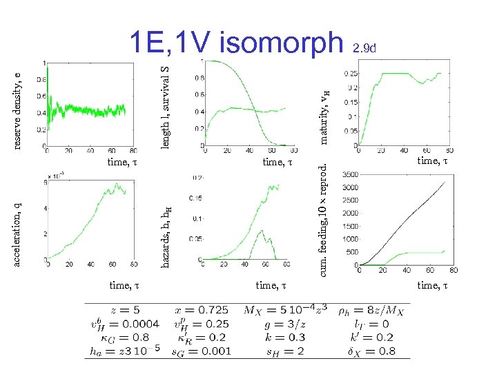 time, cum. feeding, 10 reprod. hazards, h, h. H acceleration, q maturity, v. H