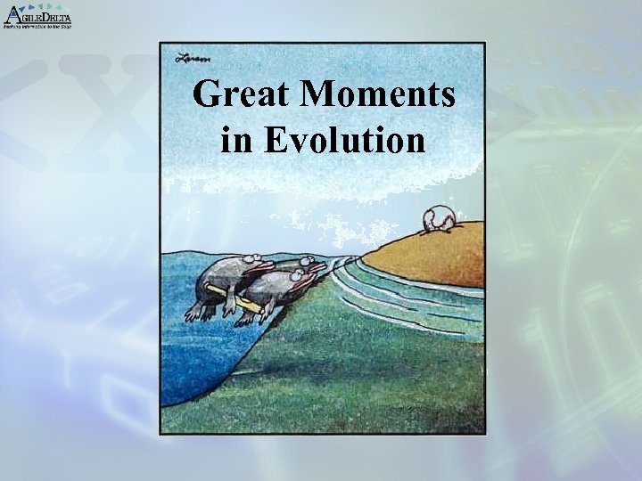 Great Moments in Evolution 