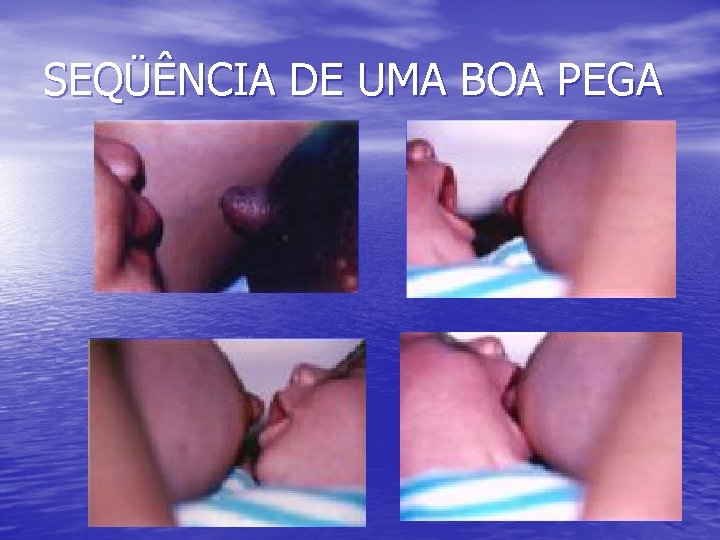 SEQÜÊNCIA DE UMA BOA PEGA 