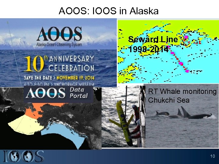AOOS: IOOS in Alaska Seward Line 1998 -2014 RT Whale monitoring Chukchi Sea 10