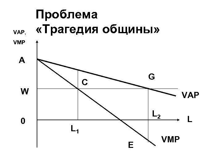 VAP, Проблема «Трагедия общины» VMP A C W 0 G VAP L 2 L