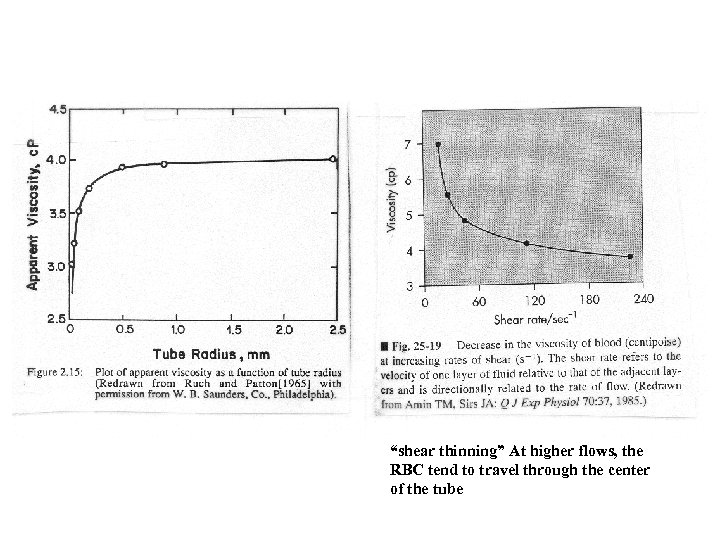 “shear thinning” At higher flows, the RBC tend to travel through the center of
