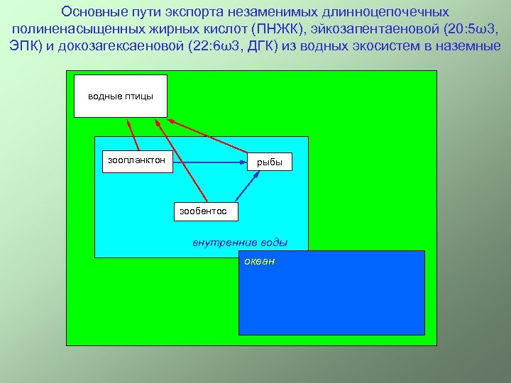 Основные пути экспорта незаменимых длинноцепочечных полиненасыщенных жирных кислот (ПНЖК), эйкозапентаеновой (20: 5ω3, ЭПК) и