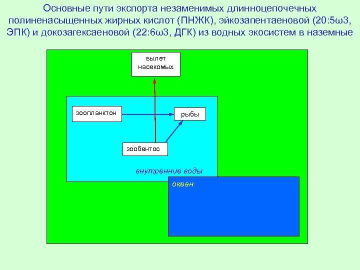 Основные пути экспорта незаменимых длинноцепочечных полиненасыщенных жирных кислот (ПНЖК), эйкозапентаеновой (20: 5ω3, ЭПК) и