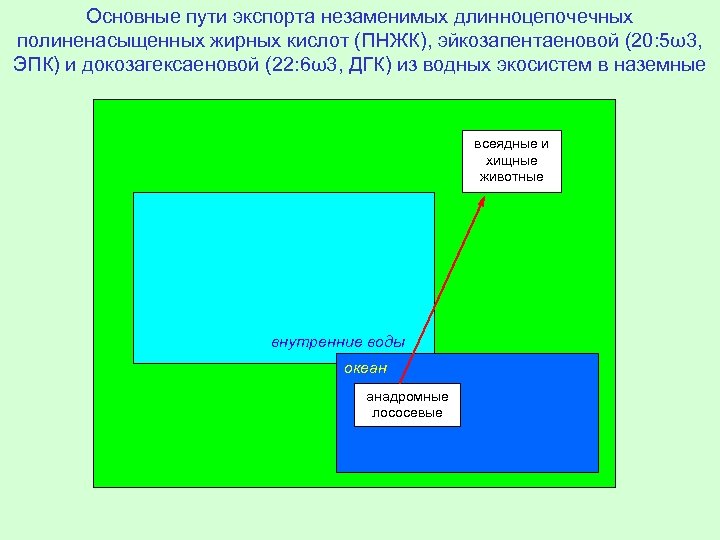 Основные пути экспорта незаменимых длинноцепочечных полиненасыщенных жирных кислот (ПНЖК), эйкозапентаеновой (20: 5ω3, ЭПК) и