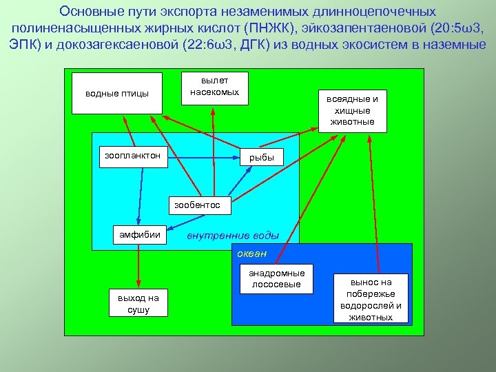 Основные пути экспорта незаменимых длинноцепочечных полиненасыщенных жирных кислот (ПНЖК), эйкозапентаеновой (20: 5ω3, ЭПК) и