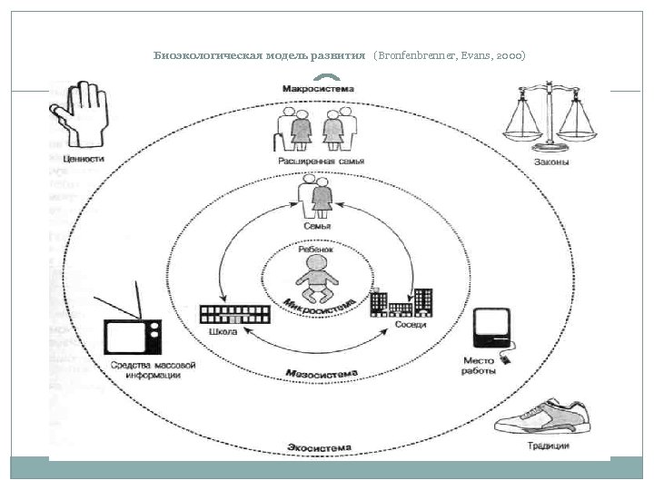 Биоэкологическая модель развития (Bronfenbrenner, Evans, 2000) 