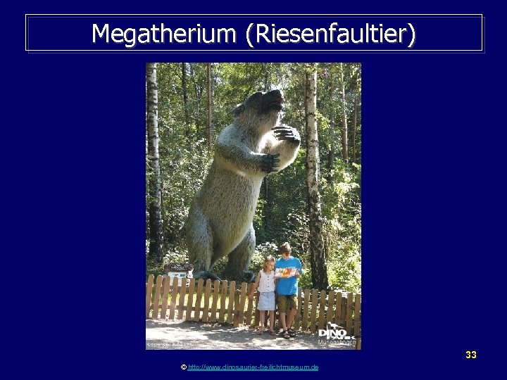 Megatherium (Riesenfaultier) 33 © http: //www. dinosaurier-freilichtmuseum. de 