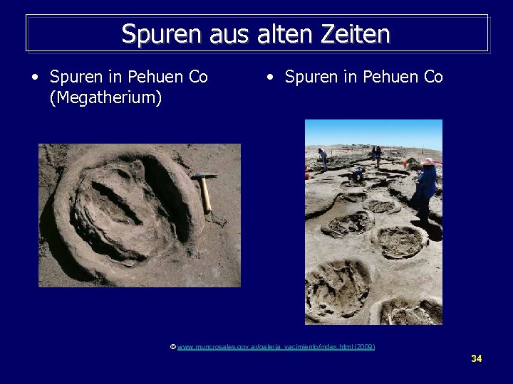 Spuren aus alten Zeiten • Spuren in Pehuen Co (Megatherium) • Spuren in Pehuen