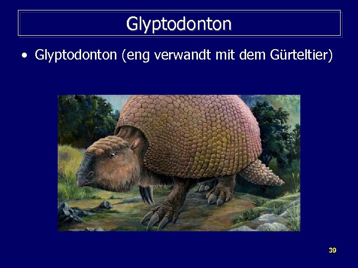 Glyptodonton • Glyptodonton (eng verwandt mit dem Gürteltier) 39 