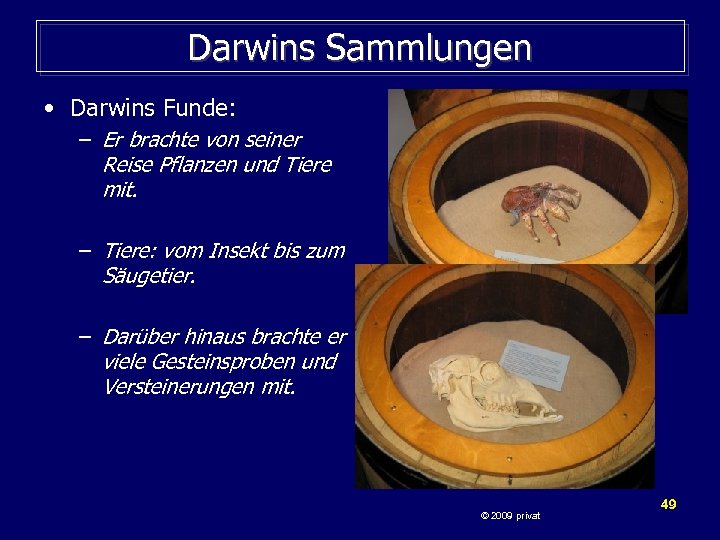 Darwins Sammlungen • Darwins Funde: – Er brachte von seiner Reise Pflanzen und Tiere