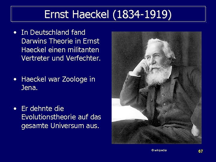 Ernst Haeckel (1834 -1919) • In Deutschland fand Darwins Theorie in Ernst Haeckel einen