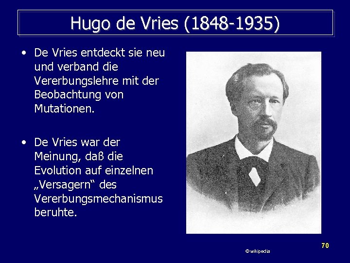 Hugo de Vries (1848 -1935) • De Vries entdeckt sie neu und verband die