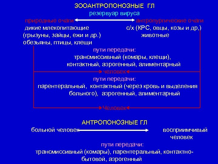 ЗООАНТРОПОНОЗНЫЕ ГЛ резервуар вируса природные очаги антропургические очаги дикие млекопитающие с/х (КРС, овцы, козы