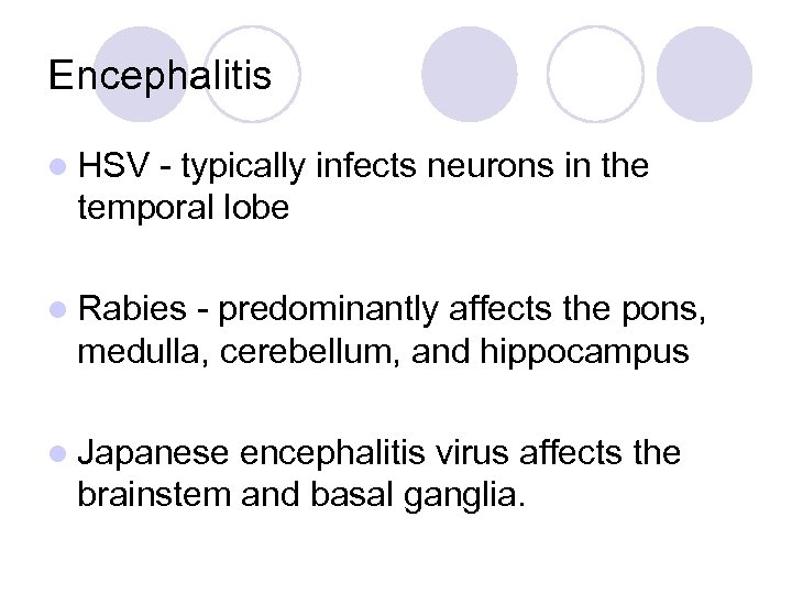 Encephalitis l HSV - typically infects neurons in the temporal lobe l Rabies -