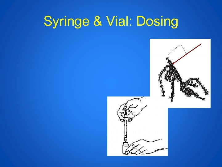 Syringe & Vial: Dosing 