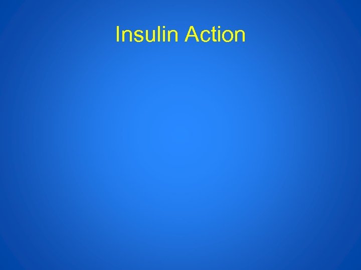 Insulin Action 