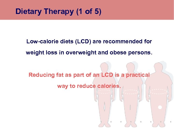 Dietary Therapy (1 of 5) Low-calorie diets (LCD) are recommended for weight loss in