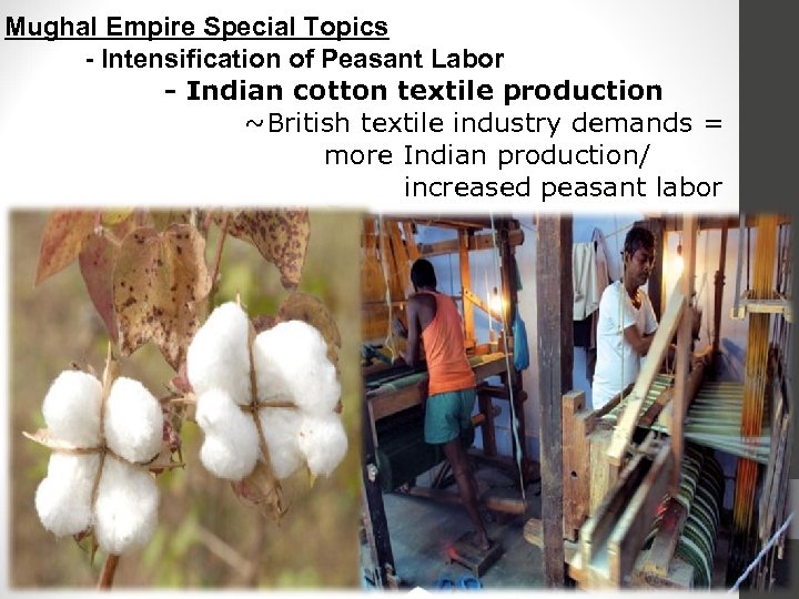 Mughal Empire Special Topics - Intensification of Peasant Labor - Indian cotton textile production