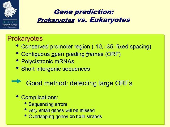 Gene prediction: Prokaryotes vs. Eukaryotes Prokaryotes • Conserved promoter region (-10, -35; fixed spacing)