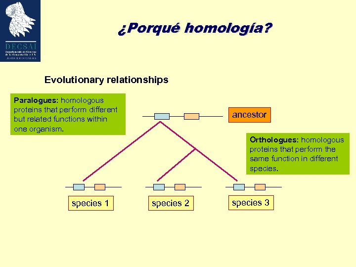¿Porqué homología? Evolutionary relationships Paralogues: homologous proteins that perform different but related functions within