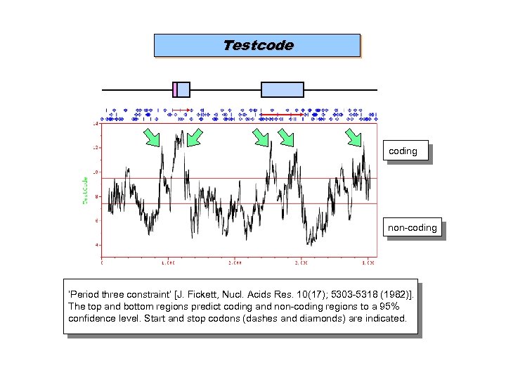 Testcode coding non-coding ‘Period three constraint’ [J. Fickett, Nucl. Acids Res. 10(17); 5303 -5318