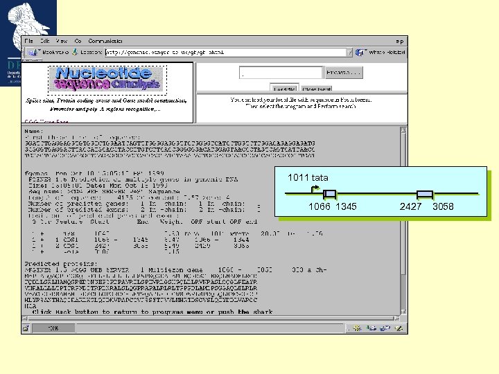 1011 tata 1066 1345 2427 3058 