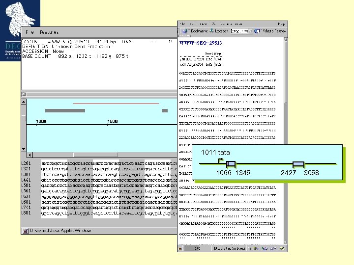 1011 tata 1066 1345 2427 3058 