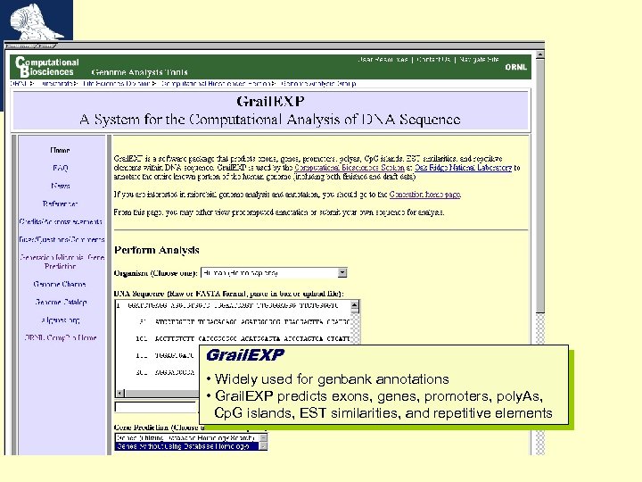 Grail. EXP • Widely used for genbank annotations • Grail. EXP predicts exons, genes,