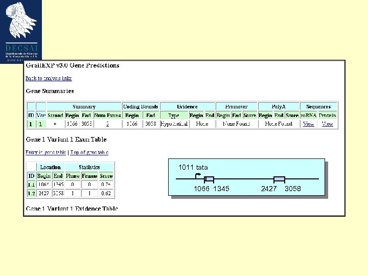 1011 tata 1066 1345 2427 3058 