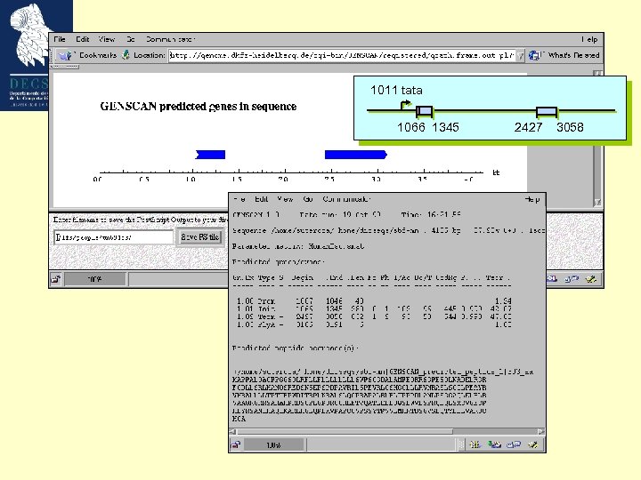 1011 tata 1066 1345 2427 3058 