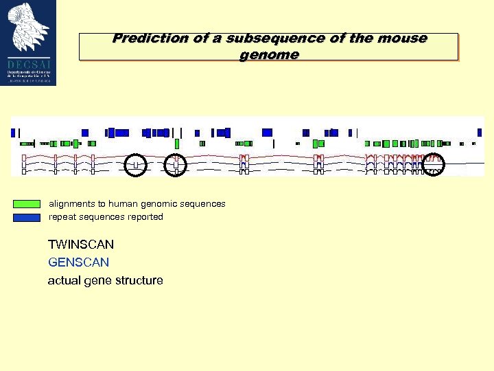 Prediction of a subsequence of the mouse genome alignments to human genomic sequences repeat