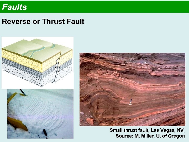 Faults Reverse or Thrust Fault Small thrust fault, Las Vegas, NV, Source: M. Miller,