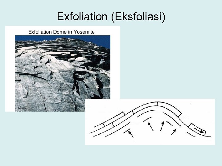 Exfoliation (Eksfoliasi) 