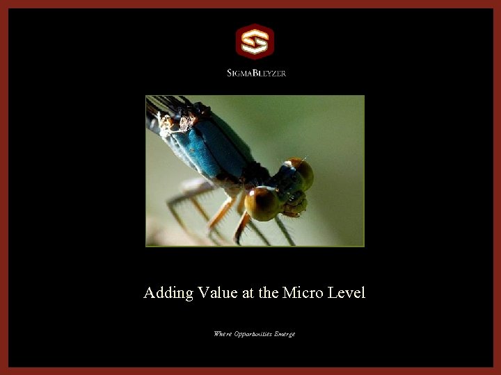 Adding Value at the Micro Level Where Opportunities Emerge 