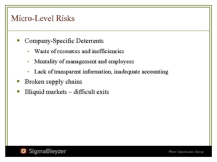 Micro-Level Risks § Company-Specific Deterrents • Waste of resources and inefficiencies • Mentality of