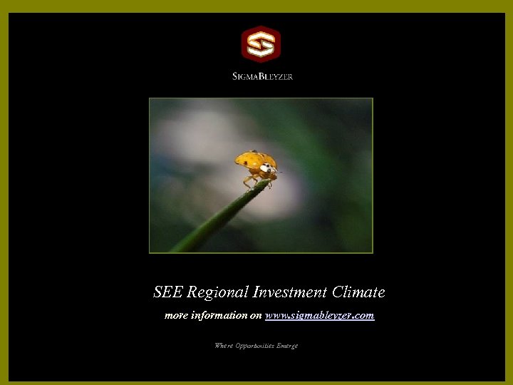 SEE Regional Investment Climate more information on www. sigmableyzer. com Where Opportunities Emerge 