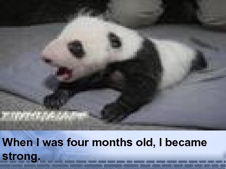 When I was four months old, I became strong. 