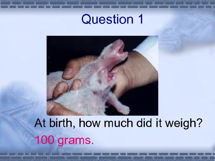 Question 1 At birth, how much did it weigh? 100 grams. 